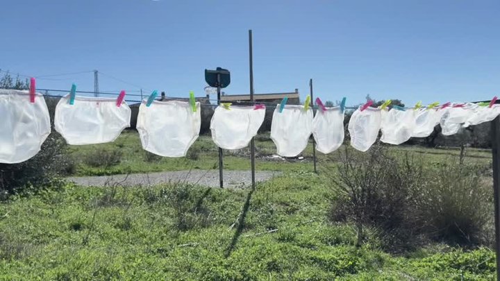 Plastic Baby Pants Day