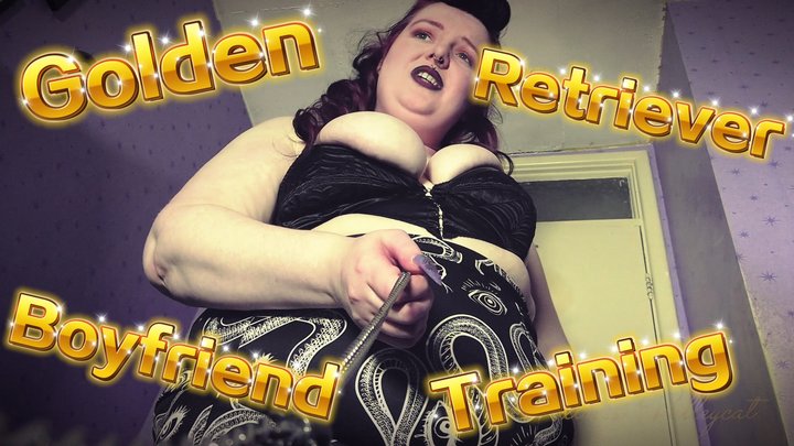 Golden Retriever Boyfriend Training (720)