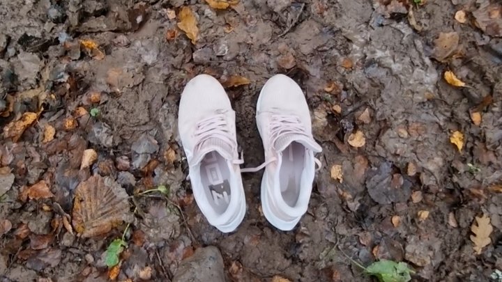 Nike Air Zoom Pegasus 39 muddy
