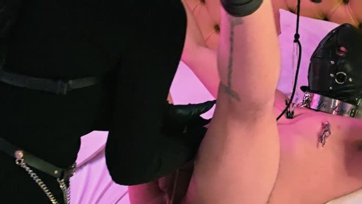 Urethral Sounding Torment: Bound, Humiliated, and Punished with Nipple Tease and