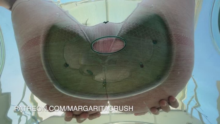 Unaware giantess crushes tinies with her butt in gymshorts