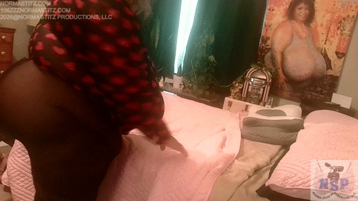 GODDESS NORMA STITZ NYLON PLAY TIME