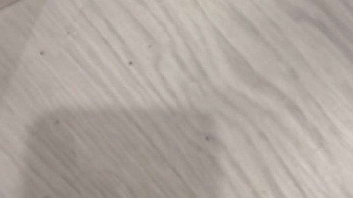 Bathroom Floor Pussy Flex