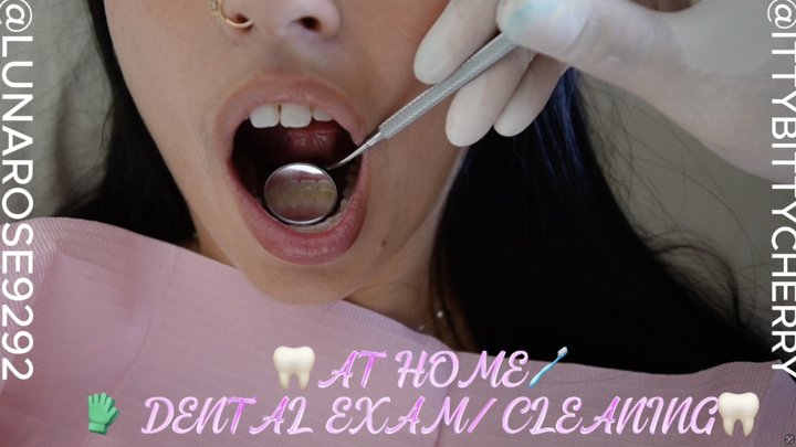 GG AT HOME VISIT DENTAL EXAM & CLEANING POV Watch Dental Assistant Luna (yes I a
