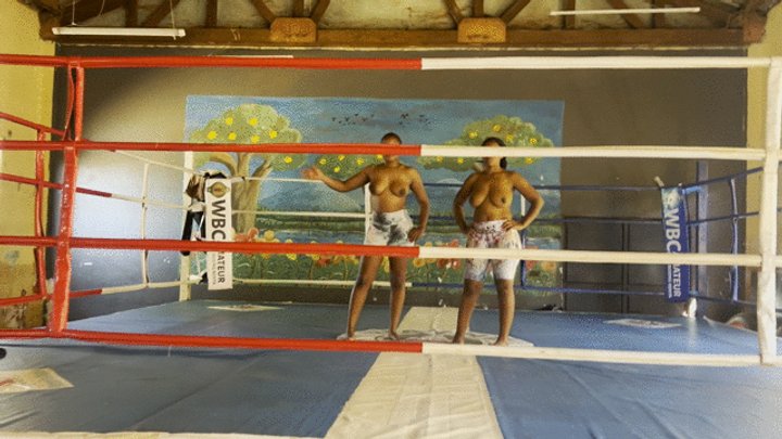 THE RING CATFIGHT