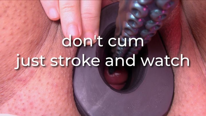 don't cum, just stroke and watch