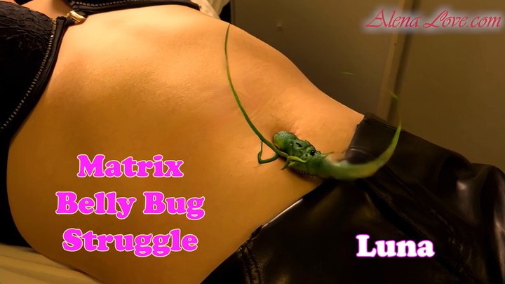 Matrix BellyButton Bug Struggle with Luna[HD]