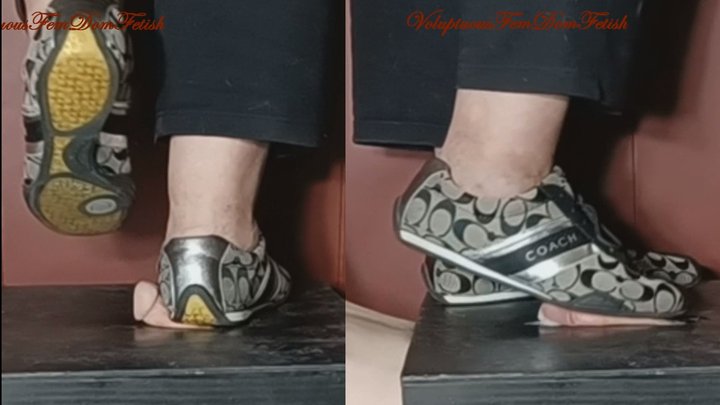 Sympathy Shoejob