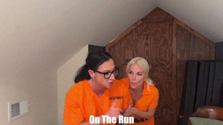 Tatiana and Kandylegs In: On The Run WMV