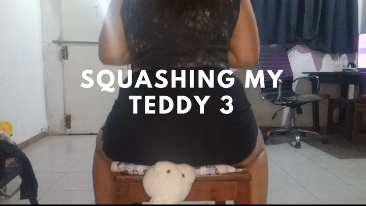Squashing my teddy 3