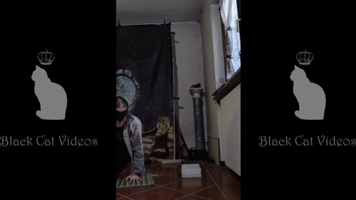 Alice caring for her own business february 2026