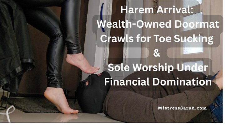 Harem Arrival: Wealth-Owned Doormat Crawls for Toe Sucking & Sole Worship Under 