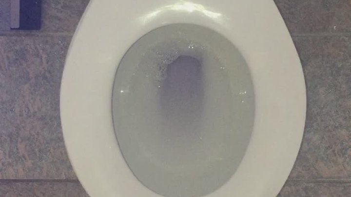 CARNEVIL TOILET DAY