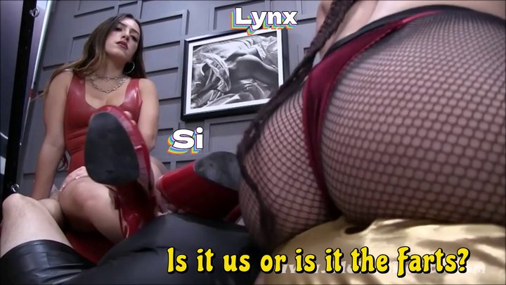 Is it Us or the Farts