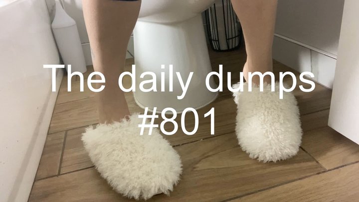 Daily dumps #801