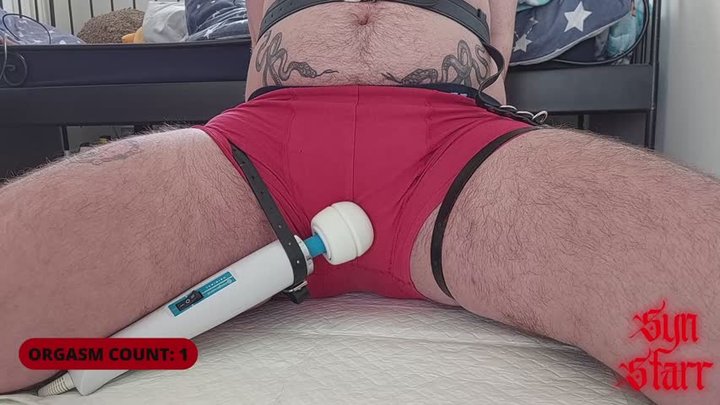 FTM puppyboy house training