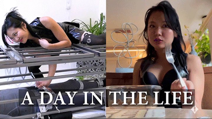 A Day In The Life Of Your Isolation Mistress