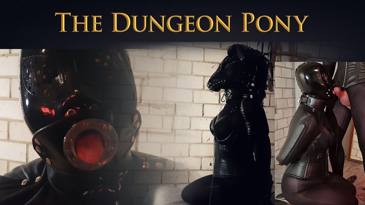The Dungeon Pony in HD