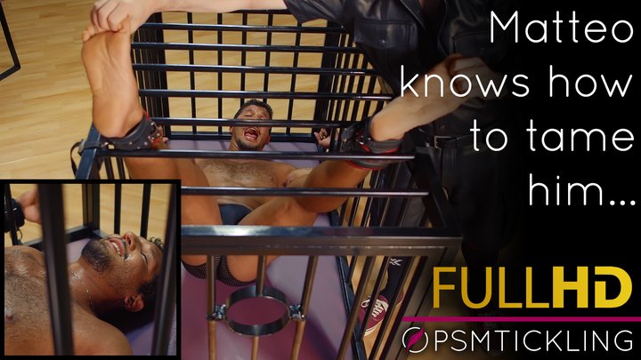 Hunk caged and tickled in the Cabinet HD
