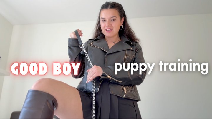 Good Boy Puppy Training copy