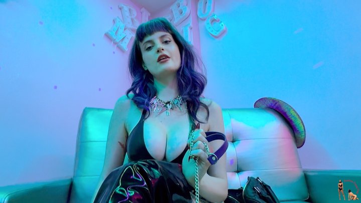 Goddess Petra Banx Collars Her Pet Slave Part 4 - Female Domination, Femdom POV,