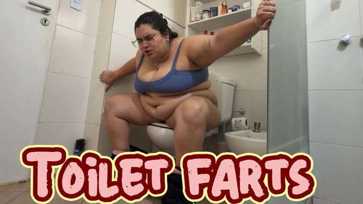 Toilet farts