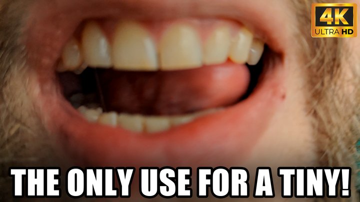 Tinies Are Only Good For One Thing - Vore - 4k UHD 2160p - KingMarti - MOV