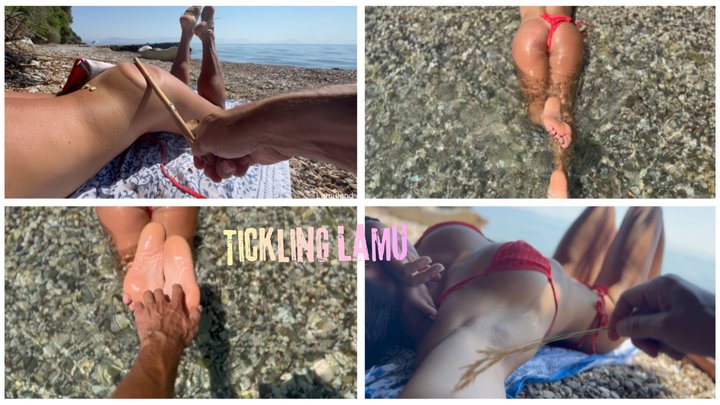 Lamu tickled on the beach