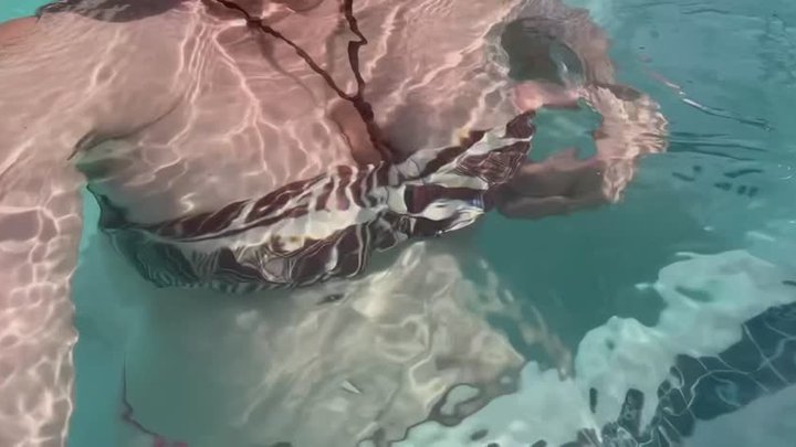 Artemisia Love at the pool flashing her juicy perfect tits underwater and record