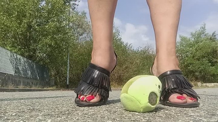 le tue gonadi incontrano il mio 41