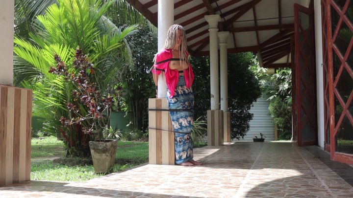 Sofi tied to a pole_Sr-L-M50