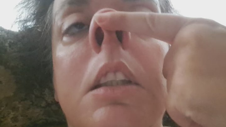 A LOVELY PIGGY NOSE