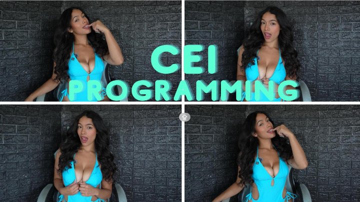 CEI PROGRAMMING