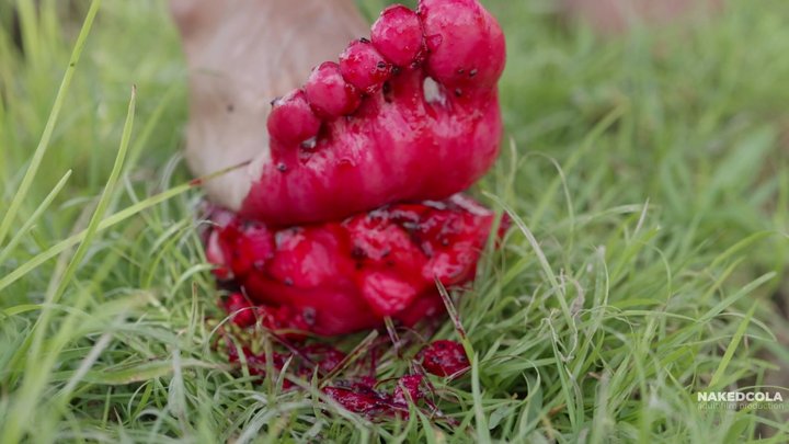 DRAGON FRUIT FOOD & FOOT FETISH - 4K