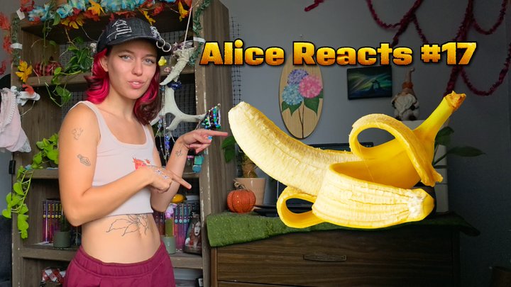 Alice Reacts 17