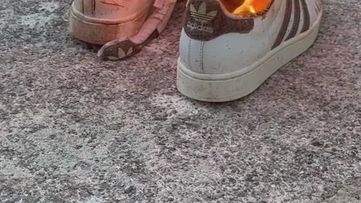 Burn B Burn