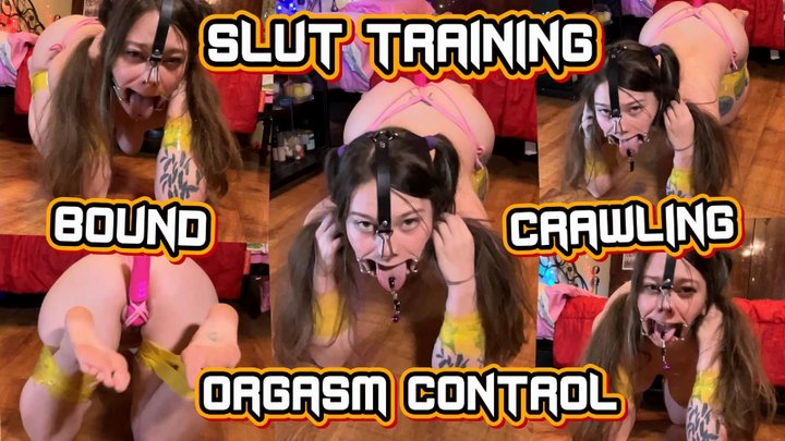Bounw Crawling Orgasm Control