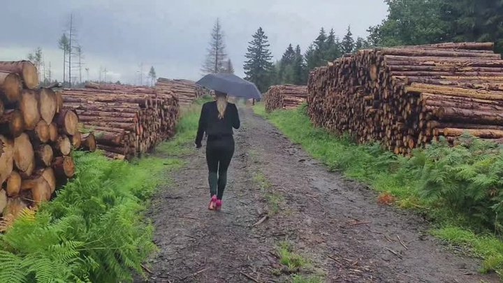 A weird guy is following Helena HD wmv 1920x1080