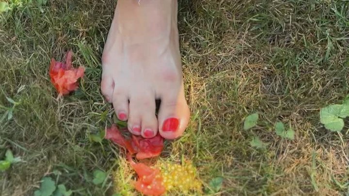 Summer tomato feet playing