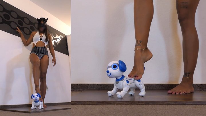Sina Robot Dog Crush