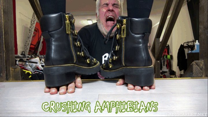 LADY SCARLET - CRUSHING AMPHIBIANS mobile