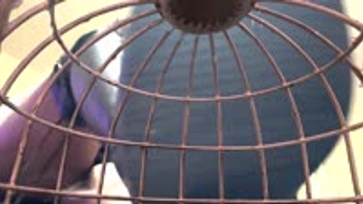 shrinking fetish - Helpless in Your Cage While Goddess MXDominion Teases You Wit