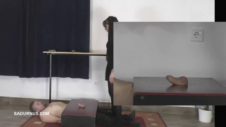 Mistress Cleo in pantyhose trample his slave to orgasm PP wmv