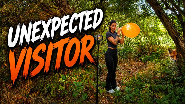 RW60: Unexpected Visitor (walkers POV)