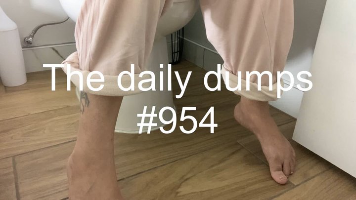 The daily dumps #954 mp4