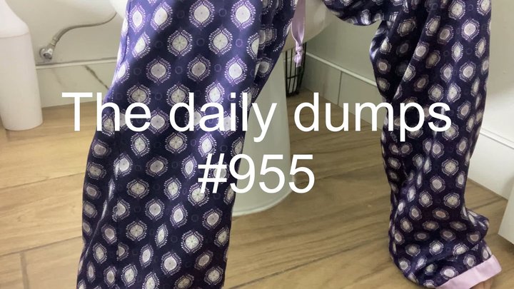 The daily dumps #955 mp4