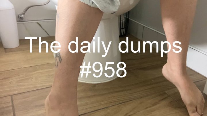 The daily dumps #958 mp4