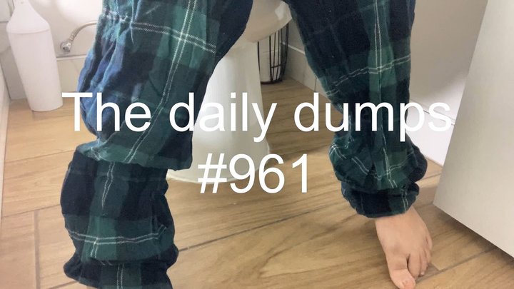 The daily dumps #961 mp4