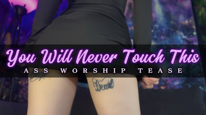 You Will Never Touch This