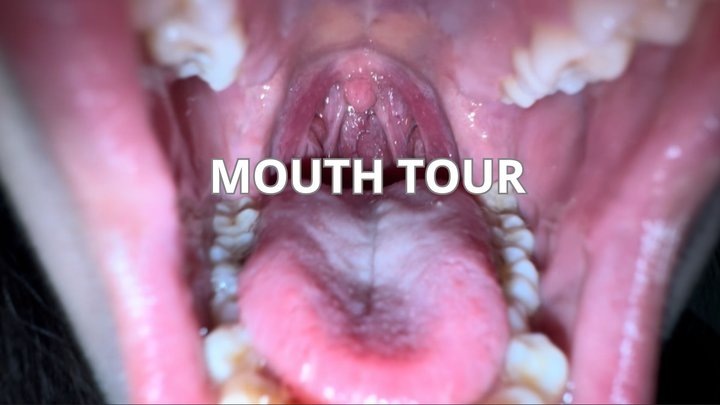 Mouth Tour & Uvula & Sharp Teeth